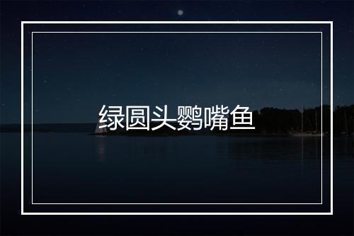 绿圆头鹦嘴鱼