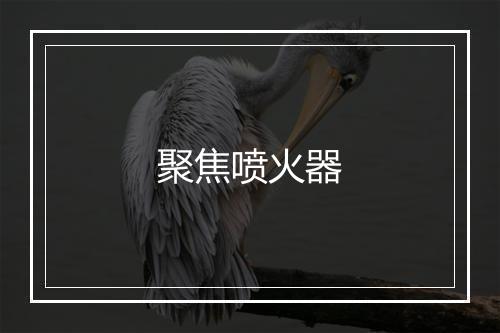 聚焦喷火器