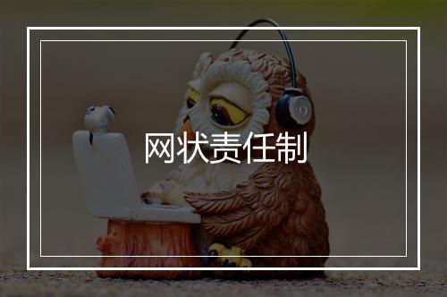 网状责任制