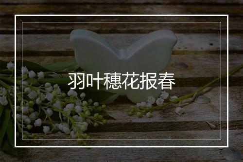 羽叶穗花报春