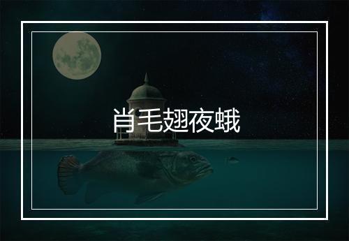 肖毛翅夜蛾