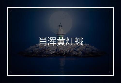 肖浑黄灯蛾