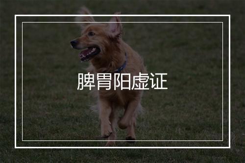 脾胃阳虚证