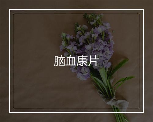 脑血康片