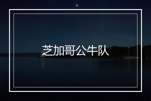 芝加哥公牛队