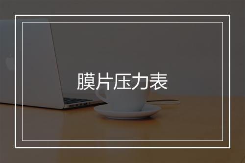 膜片压力表