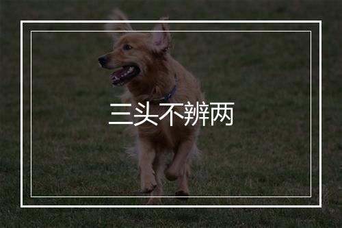 三头不辨两