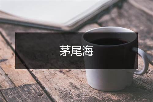 茅尾海