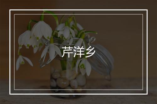 芹洋乡