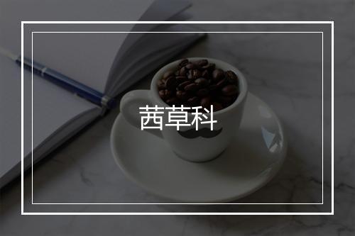 茜草科