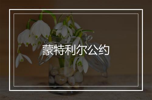 蒙特利尔公约