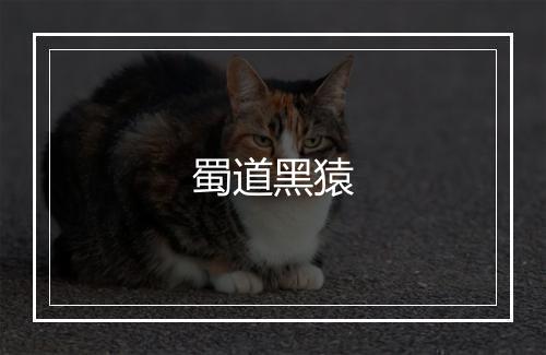 蜀道黑猿