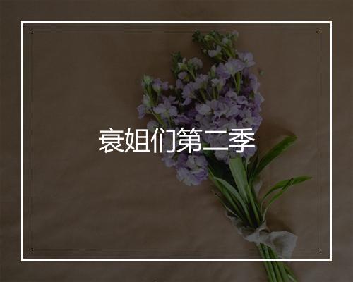 衰姐们第二季