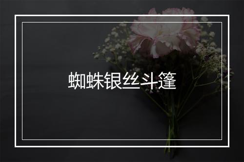 蜘蛛银丝斗篷