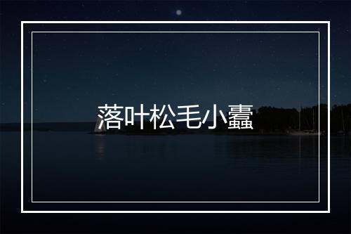 落叶松毛小蠹