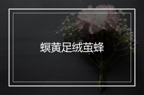 螟黄足绒茧蜂