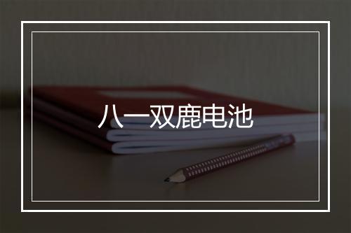 八一双鹿电池