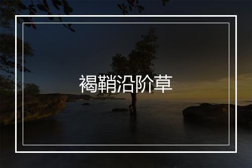 褐鞘沿阶草