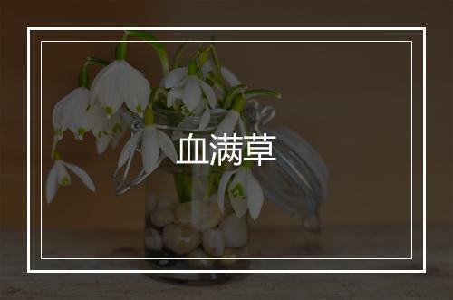 血满草