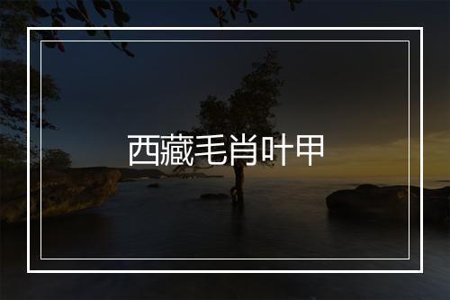 西藏毛肖叶甲