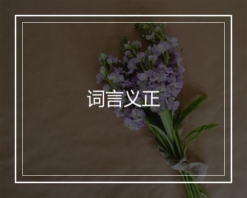 词言义正