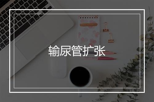 输尿管扩张