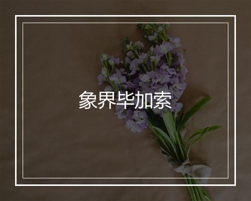 象界毕加索