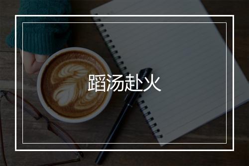 蹈汤赴火