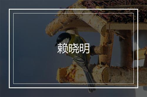 赖晓明