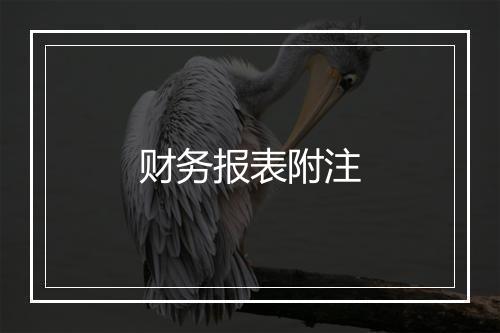 财务报表附注