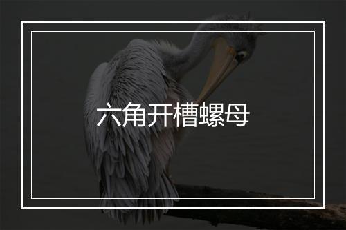 六角开槽螺母