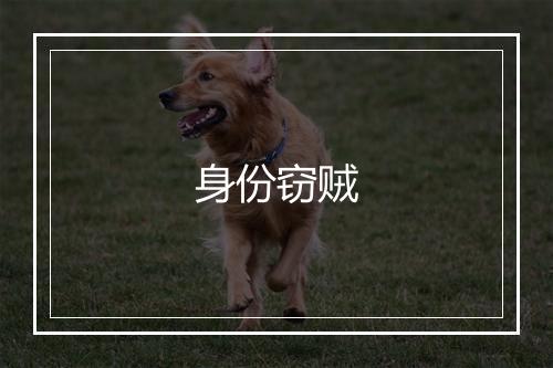 身份窃贼