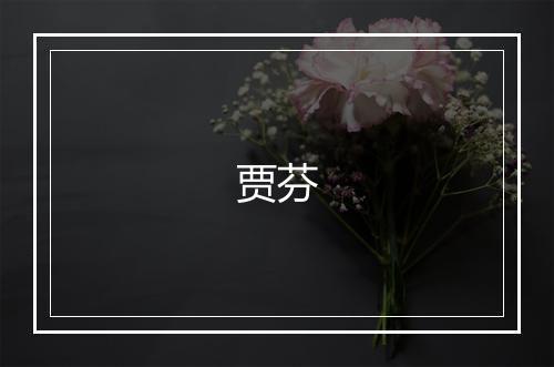 贾芬