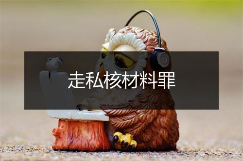 走私核材料罪