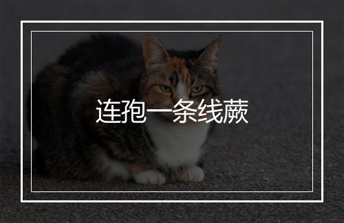 连孢一条线蕨