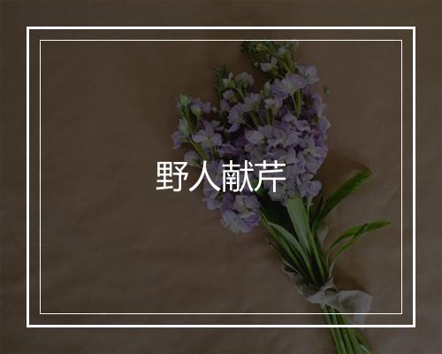 野人献芹