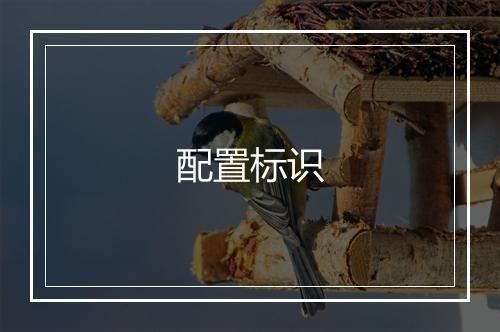 配置标识