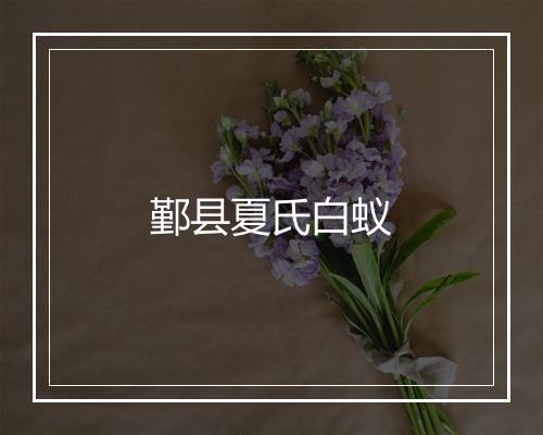 鄞县夏氏白蚁