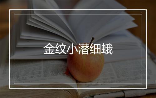 金纹小潜细蛾