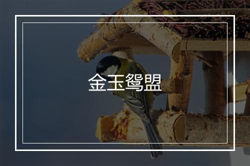 金玉鸳盟