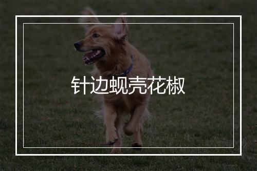 针边蚬壳花椒