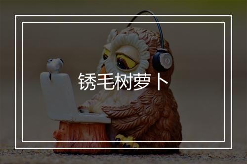 锈毛树萝卜