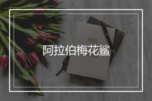 阿拉伯梅花鲨