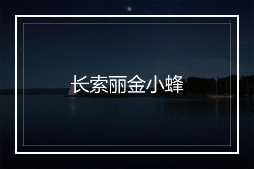 长索丽金小蜂