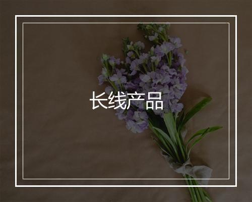 长线产品