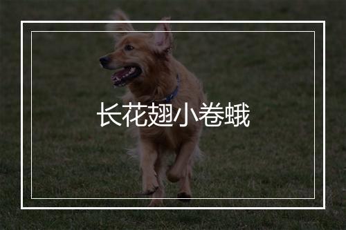 长花翅小卷蛾