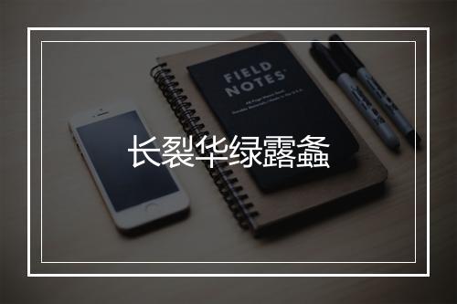 长裂华绿露螽