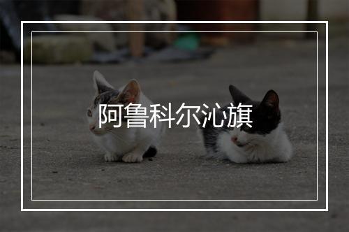 阿鲁科尔沁旗