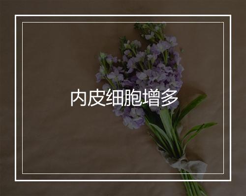 内皮细胞增多