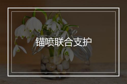 锚喷联合支护